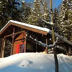 Prázdninový dům Blockhaus Bodefall By Interhome