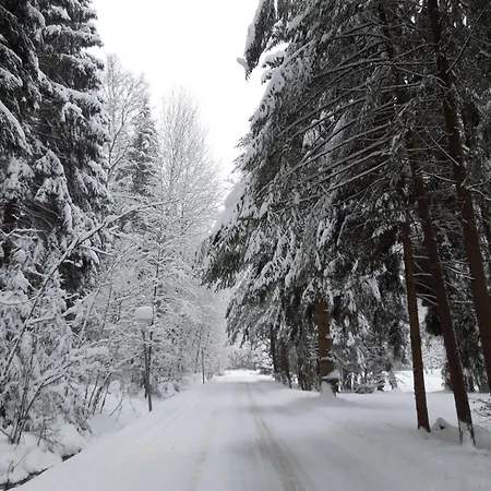 Blockhaus Bodefall By Interhome Holiday home *