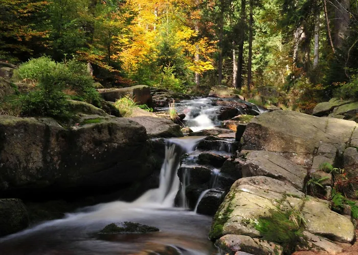 Дом отдыха Blockhaus Bodefall By Interhome Браунлаге