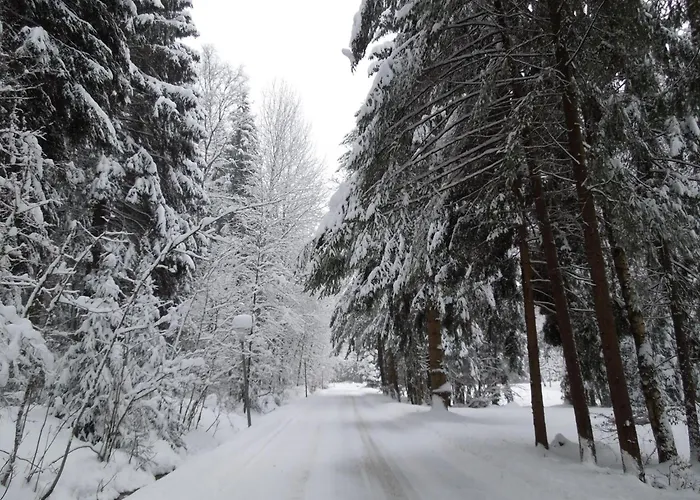 Blockhaus Bodefall By Interhome Holiday home *