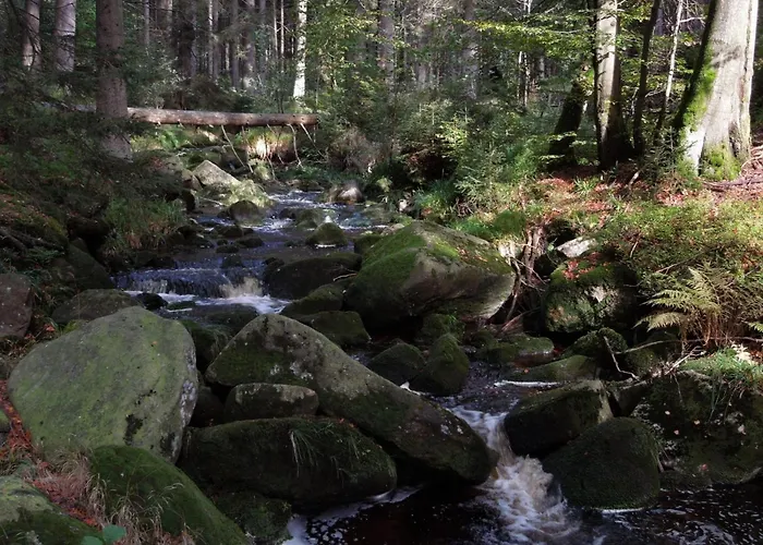 Blockhaus Bodefall By Interhome Braunlage