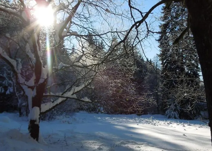 Blockhaus Bodefall By Interhome Дом отдыха